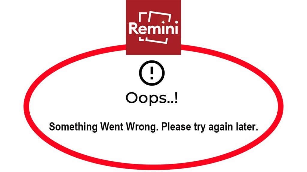 remini error how to fix
